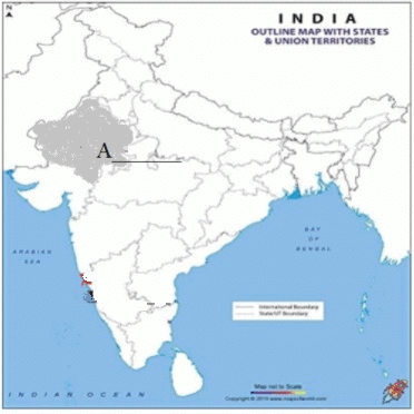 Class 9 SST: Sample Question Paper Term I - 3 (With Solutions) | Social Studies (SST) Class 9