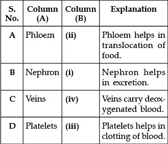 Class 10 Science: CBSE Sample Question Paper- Term I (2021-22) - 4 | Science Class 10
