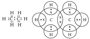 Class 10 Science: CBSE Sample Question Paper- Term II (2021-22) - 2 | Science Class 10