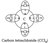 Class 10 Science: CBSE Sample Question Paper- Term II (2021-22) - 4 | Science Class 10