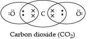 Class 10 Science: CBSE Sample Question Paper- Term II (2021-22) - 4 | Science Class 10