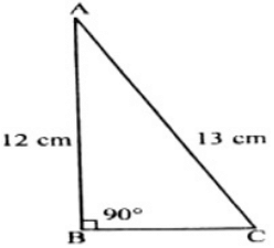 Class 9 Math: Sample Question Paper Term I- 4 (With Solutions) | Mathematics (Maths) Class 9