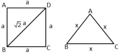 Class 9 Math: Sample Question Paper Term I- 2 (With Solutions) | Mathematics (Maths) Class 9