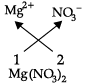Class 9 Science: Sample Question Paper Term II- 2 (With Solutions) | Science Class 9