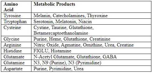 Chemistry and Metabolism of Amino Acids - 2 | Biochemistry - NEET PG