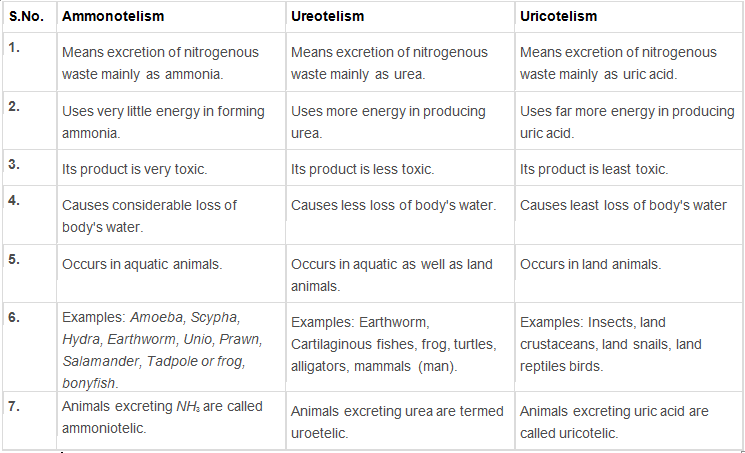 Excretory Products & their Elimination Class 11 Notes Biology