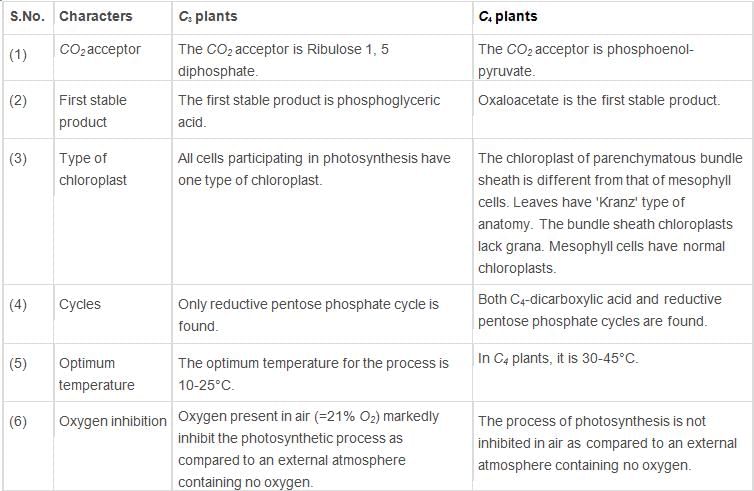 Photosynthesis in Higher Plants Class 11 Notes Biology Chapter 13