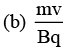 DC Pandey Solutions: Magnetics - 1 - NEET