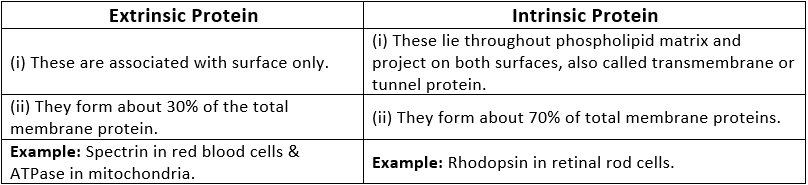 Cell - The Unit of Life Class 11 Notes Biology Chapter 8