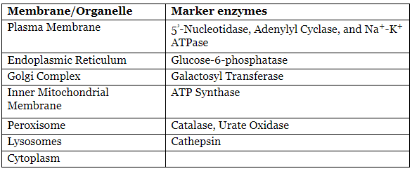 Enzymes Chapter Notes | Biochemistry - NEET PG