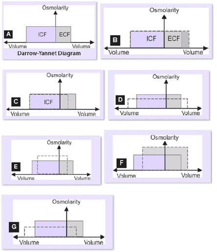 Homeostasis of Body Fluids Chapter Notes | Physiology - NEET PG