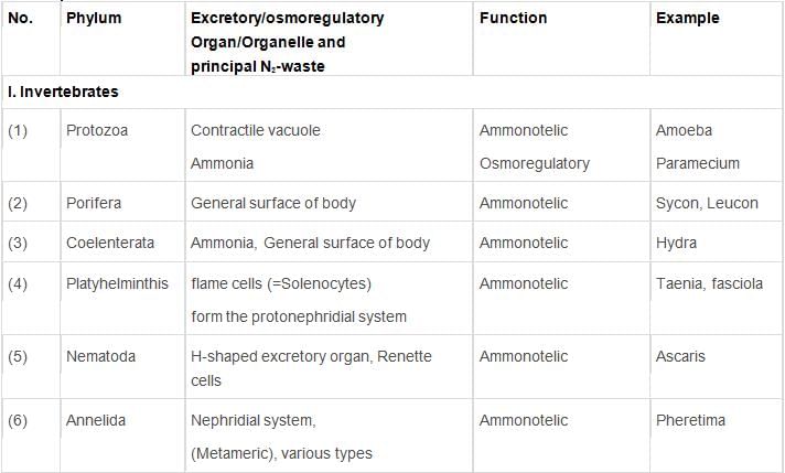 Excretory Products & their Elimination Class 11 Notes Biology