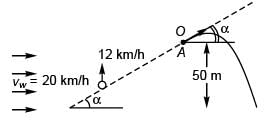 DC Pandey Solutions (JEE Main): Projectile Motion- 1 | DC Pandey Solutions for JEE Physics