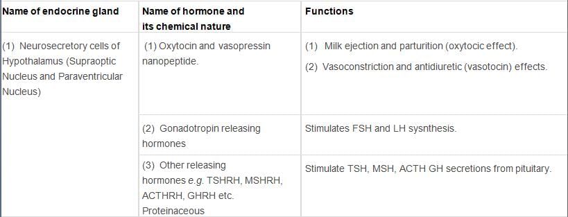 Chemical Coordination and Integration Class 11 Notes Biology Chapter 22