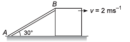 DC Pandey Solutions (JEE Advance): Motion in One Dimension- 2 | DC Pandey Solutions for JEE Physics