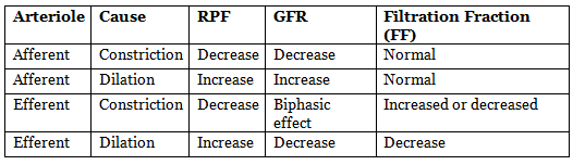 Renal Physiology Chapter Notes | Physiology - NEET PG
