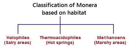 Detailed Summary: Biological Classification | NCERT Exemplar & Revision Notes for NEET