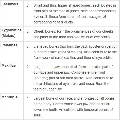 Locomotion and Movement Class 11 Notes Biology Chapter 20