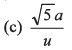 DC Pandey Solutions (JEE Advance): Motion in One Dimension- 5 | DC Pandey Solutions for JEE Physics