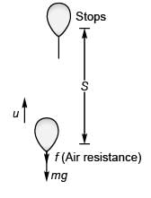 DC Pandey Solutions (JEE Advance): Motion in One Dimension- 5 | DC Pandey Solutions for JEE Physics