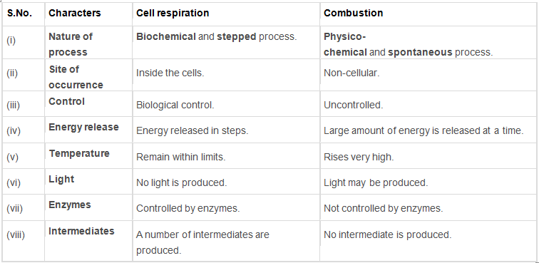 Respiration in Plants Class 11 Notes Biology Chapter 14
