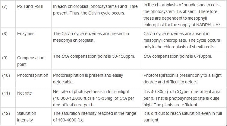 Photosynthesis in Higher Plants Class 11 Notes Biology Chapter 13