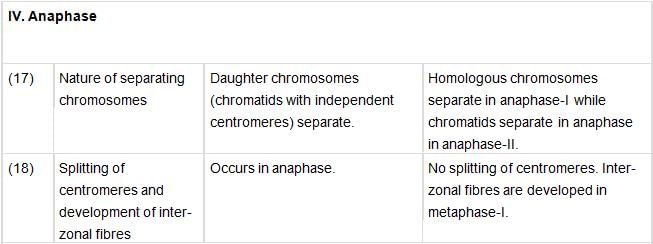 Cell Cycle and Cell Division Class 11 Notes Biology Chapter 10