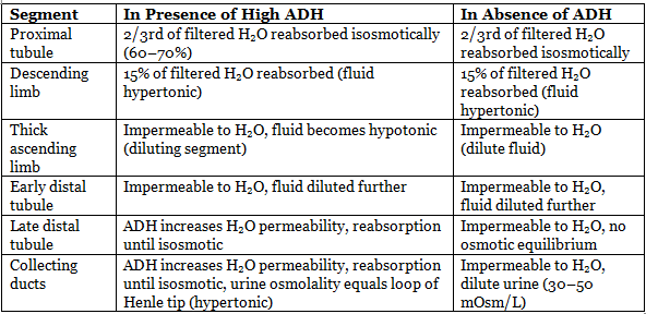 Renal Physiology Chapter Notes | Physiology - NEET PG