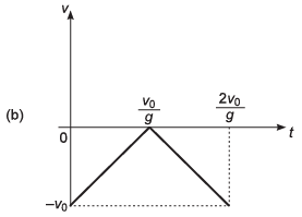DC Pandey Solutions: Motion in One Dimension (JEE Main)- 6 | DC Pandey Solutions for JEE Physics
