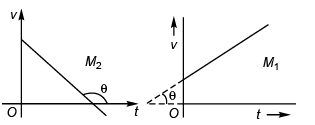 DC Pandey Solutions (JEE Main): Motion in One Dimension- 3 | DC Pandey Solutions for JEE Physics