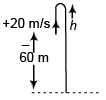 DC Pandey Solutions (JEE Main): Motion in One Dimension- 1 | DC Pandey Solutions for JEE Physics