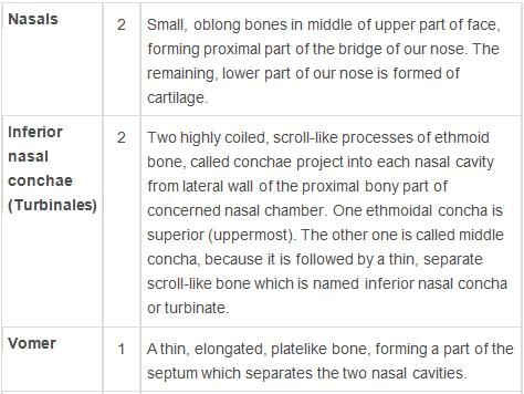 Locomotion and Movement Class 11 Notes Biology Chapter 20