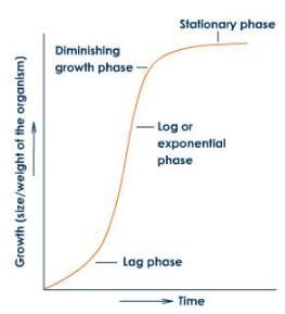 Plant Growth & Development Class 11 Notes Biology Chapter 15