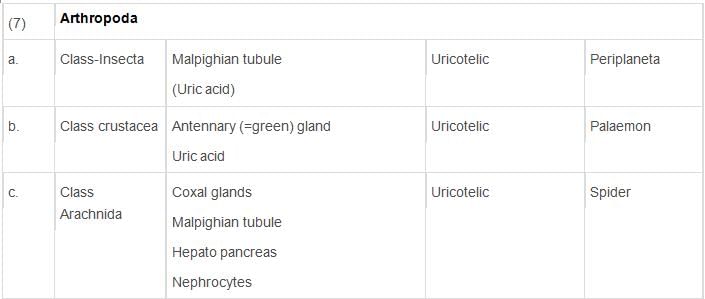 Excretory Products & their Elimination Class 11 Notes Biology
