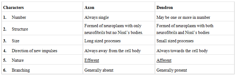 Revision Notes: Structural Organization in Animals | NCERT Exemplar & Revision Notes for NEET