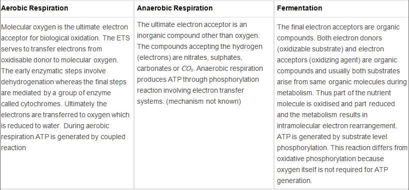 Respiration in Plants Class 11 Notes Biology Chapter 14