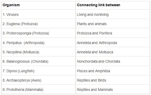 Evolution Class 12 Notes Biology Chapter 6