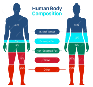 Homeostasis of Body Fluids Chapter Notes | Physiology - NEET PG