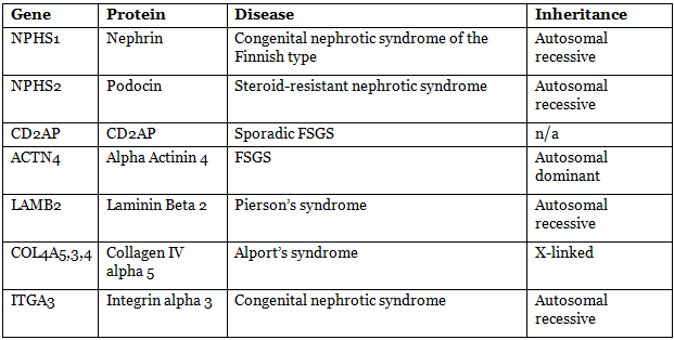 Renal Physiology Chapter Notes | Physiology - NEET PG