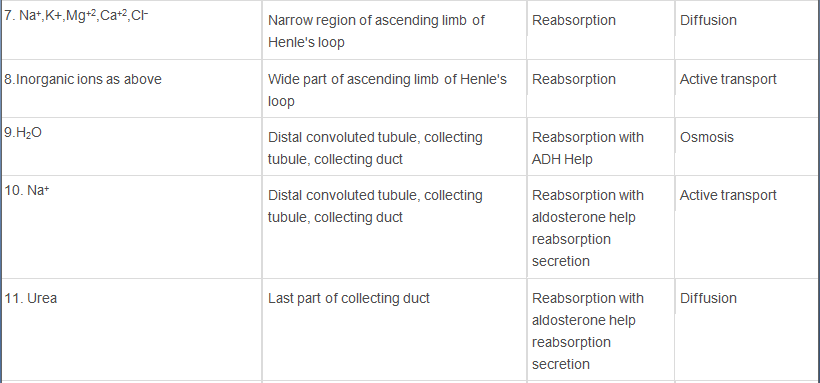 Excretory Products & their Elimination Class 11 Notes Biology