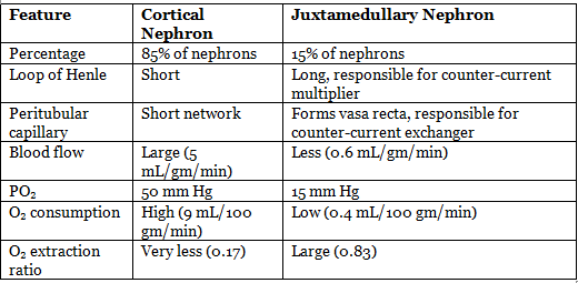 Renal Physiology Chapter Notes | Physiology - NEET PG