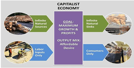 NCERT Solutions for Class 12 Economics - Introduction (Macroeconomics)