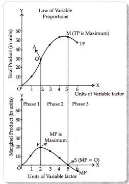 CBSE Class 11 Economics Sample Paper - 4 | Economics Class 11 - Commerce