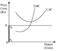 NCERT Solutions for Class 11 Economics - The Theory Of The Firm Under Perfect Competition