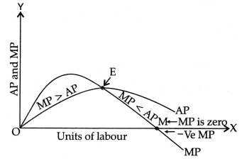 CBSE Class 11 Economics Sample Paper - 5 | Economics Class 11 - Commerce