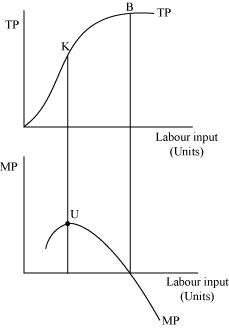 NCERT Solutions for Class 11 Economics - Production and Costs