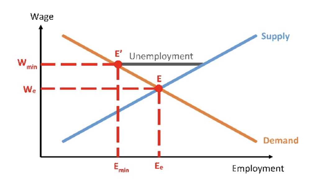 Higher Order Thinking Skills - Market Equilibrium | Economics Class 11 - Commerce