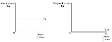 NCERT Solutions for Class 11 Economics - Non Competitive Markets