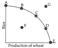 CBSE Class 11 Economics Sample Paper - 2 | Economics Class 11 - Commerce