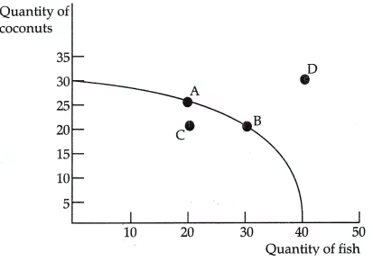 CBSE Class 11 Economics Sample Paper - 1 | Economics Class 11 - Commerce